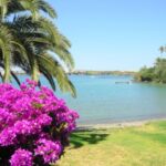 isla de Menorca. Donde las vacaciones serán de lo mejor para poder desconectar del trabajo, estar en pareja o con la familia en las mejores playas de España